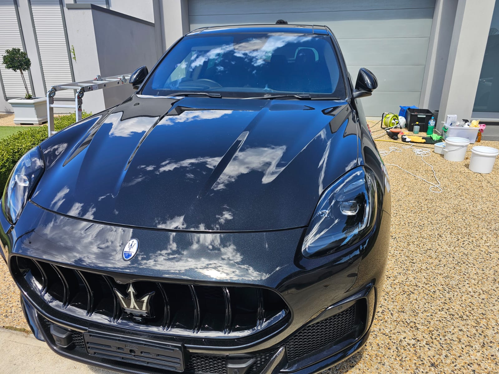 Luxury Cars